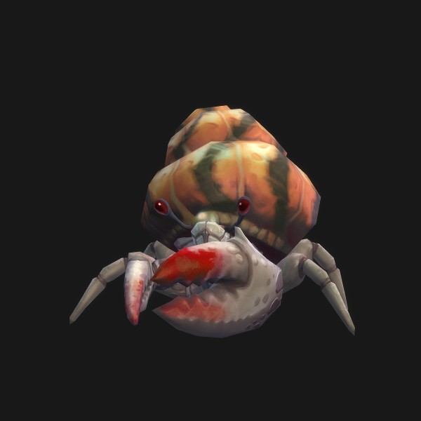 Hermit Crab