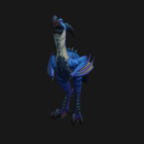Hornstrider Chick