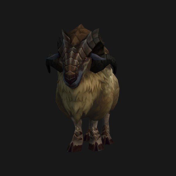 Elusive Elder Argali