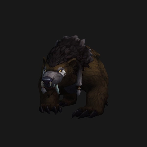 Forest Bear