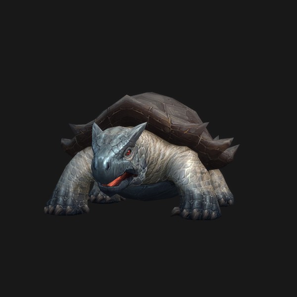 Highland Snapper Hatchling