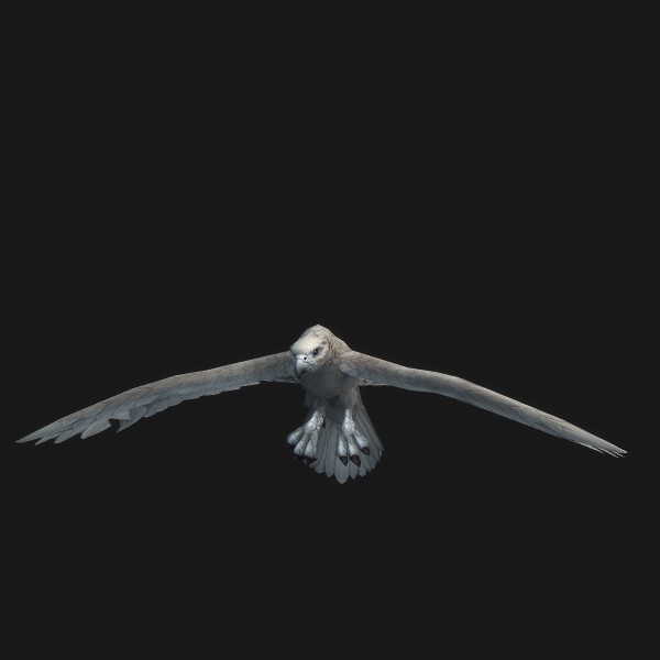 Fallside Falcon