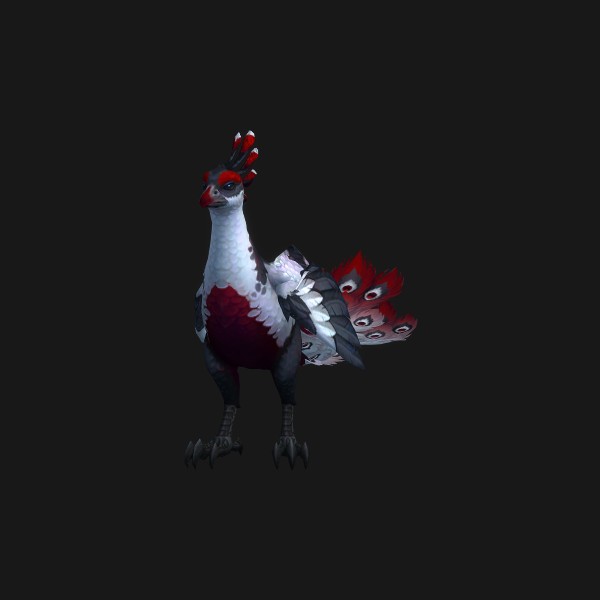 Infected Peafowl