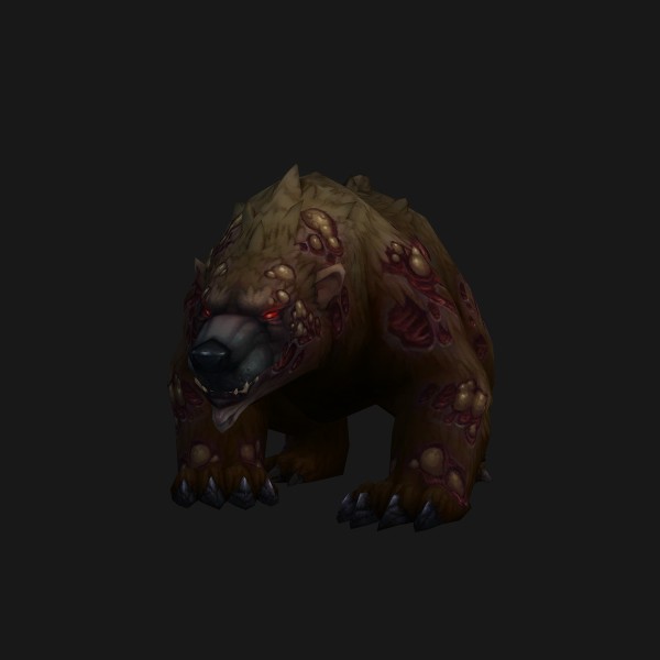 Infected Grizzly Bear