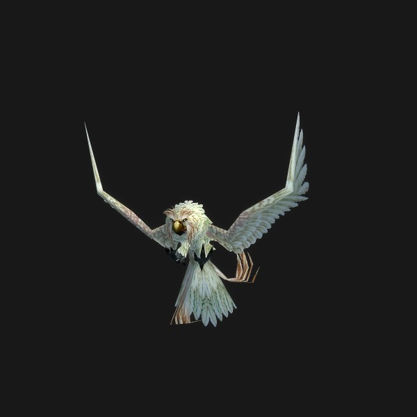 Hyjal Owl