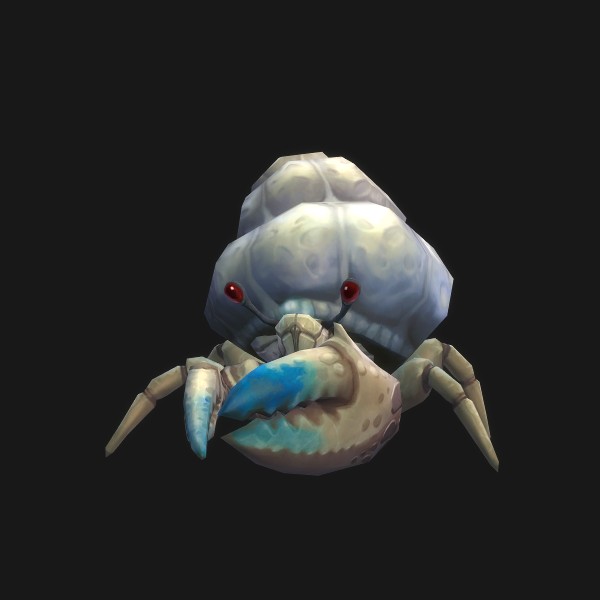 Hermit Crab