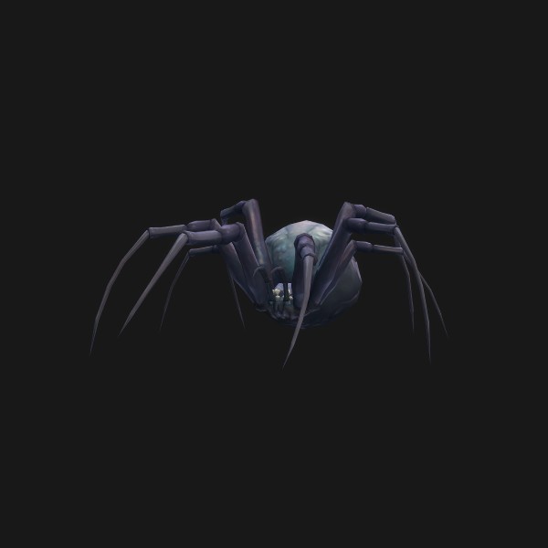 Greater Spindleweb