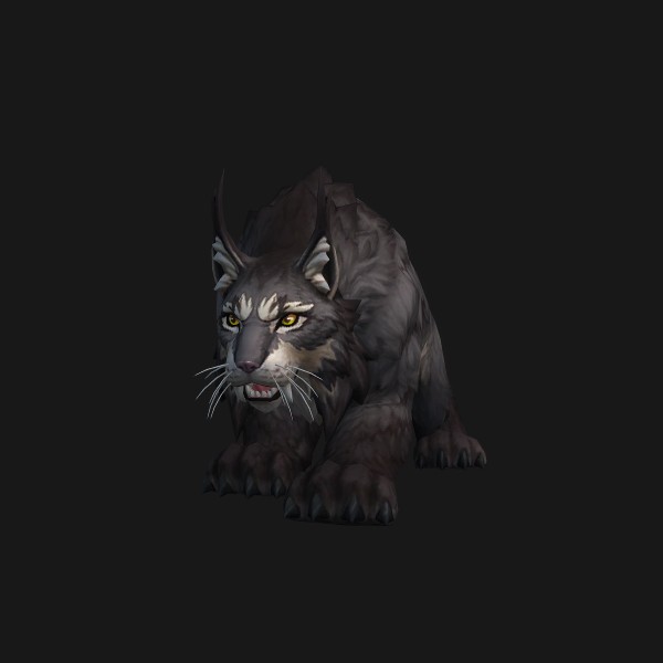 Escaped Lynx