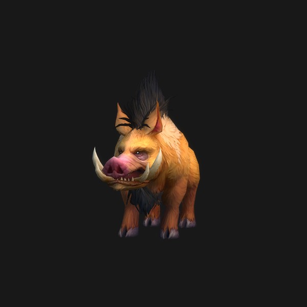 Elder Mountain Boar
