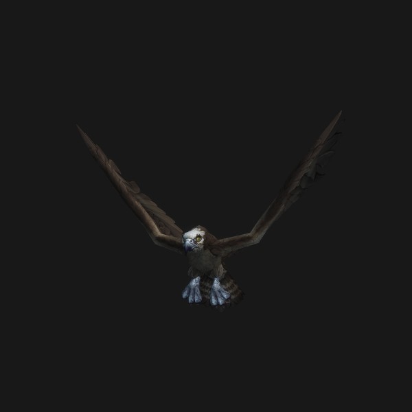 Hallowlight Osprey