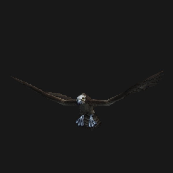 Fallfisher Swiftwing