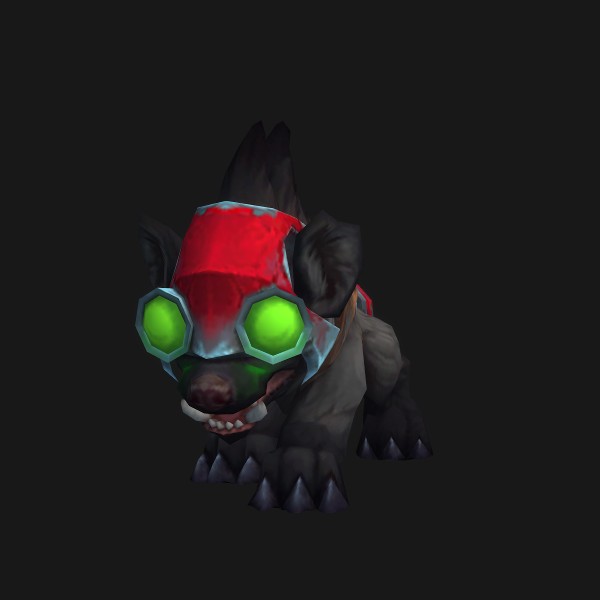 Goggles