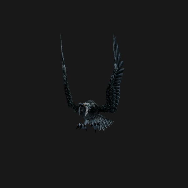 Fjord Crow