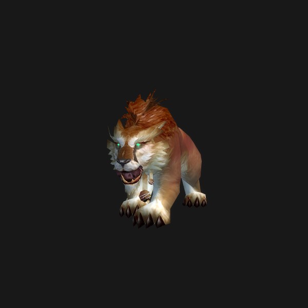 Gaunt Mountain Lion