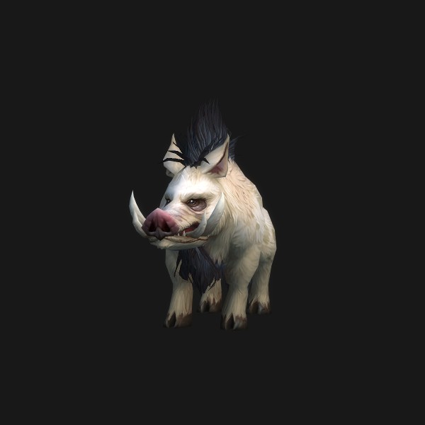 Elder Mottled Boar
