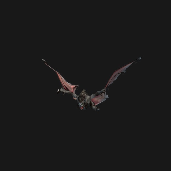 Greater Kraul Bat