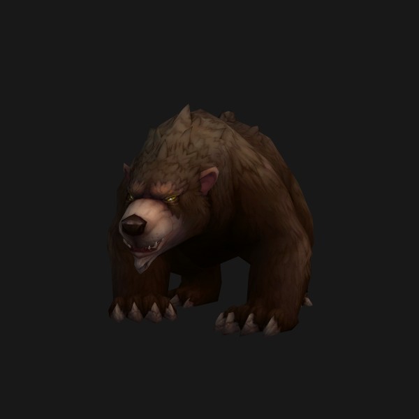 Elder Brown Bear