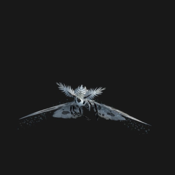 Glittering Mothling
