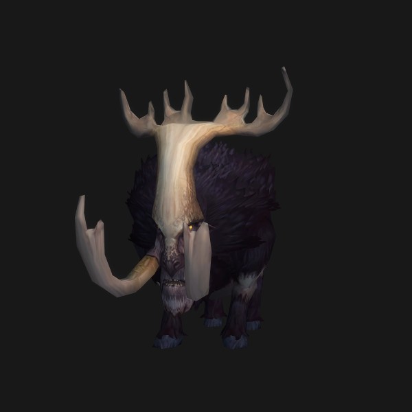 Island Shoveltusk