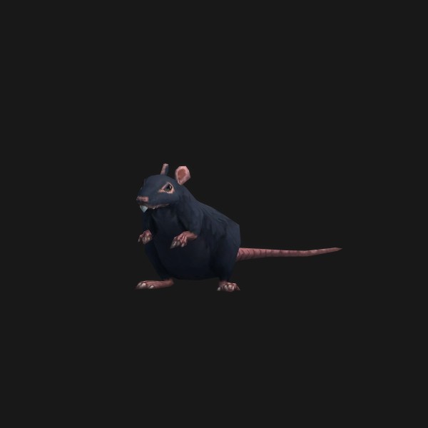 Fjord Rat