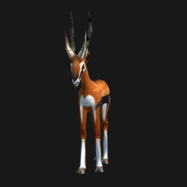 Fairlands Gazelle