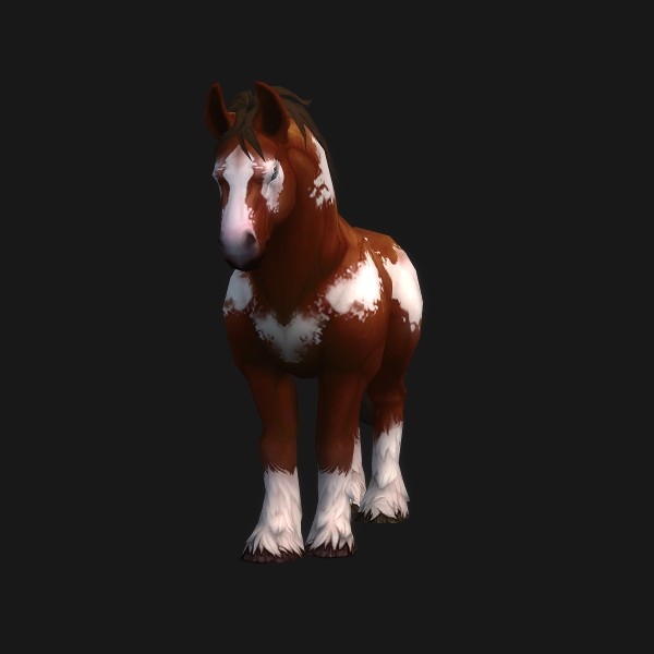 Highland Mustang