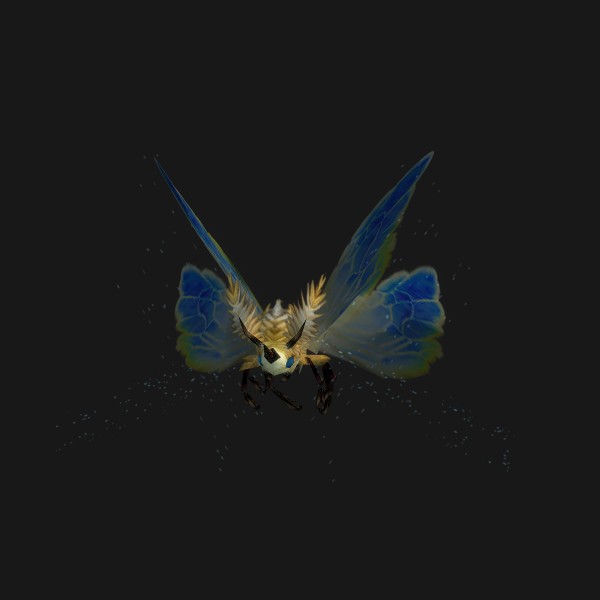Fern Feeder Moth