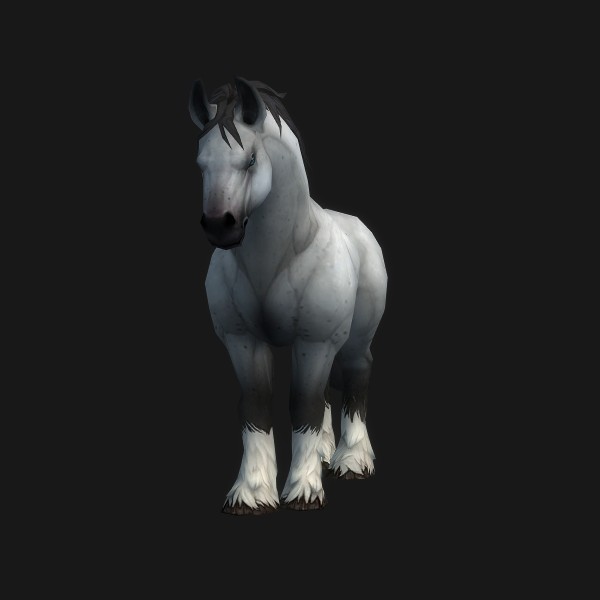 Havenshire Mare
