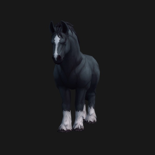 Havenshire Colt