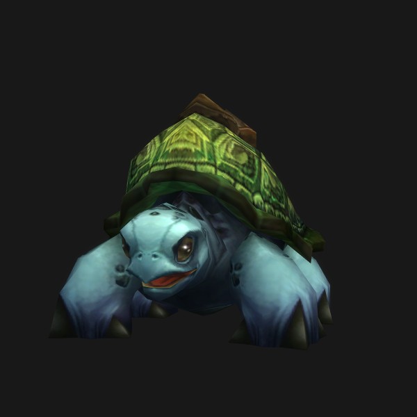 Sea Turtle mount visual