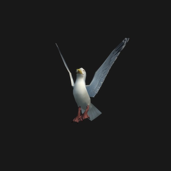 Emperor Tern