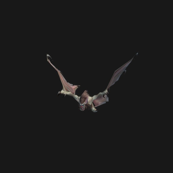 Duskwing