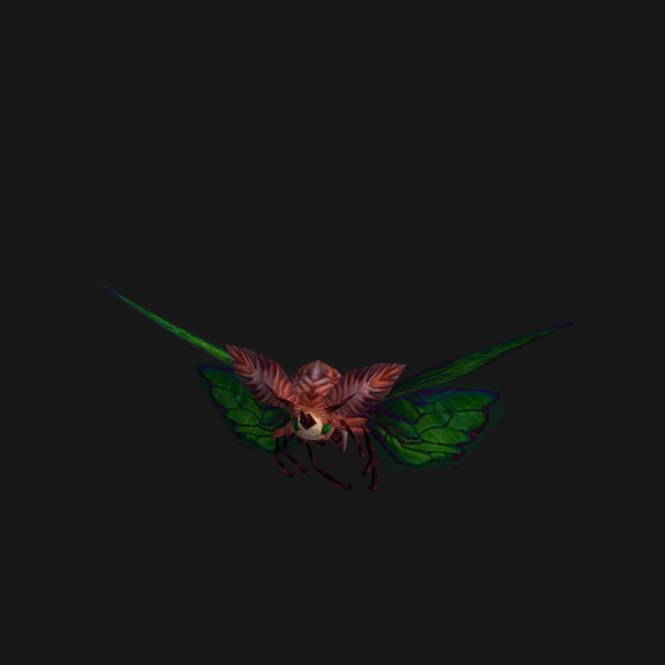 Garden Moth