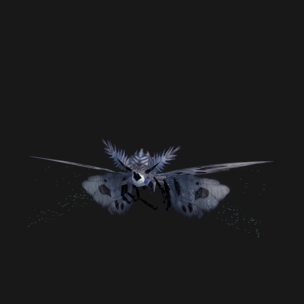 Fear-Touched Moth