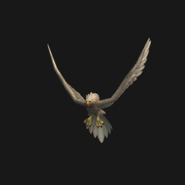 Great White Plainshawk