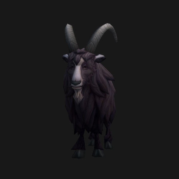 Highland Goat
