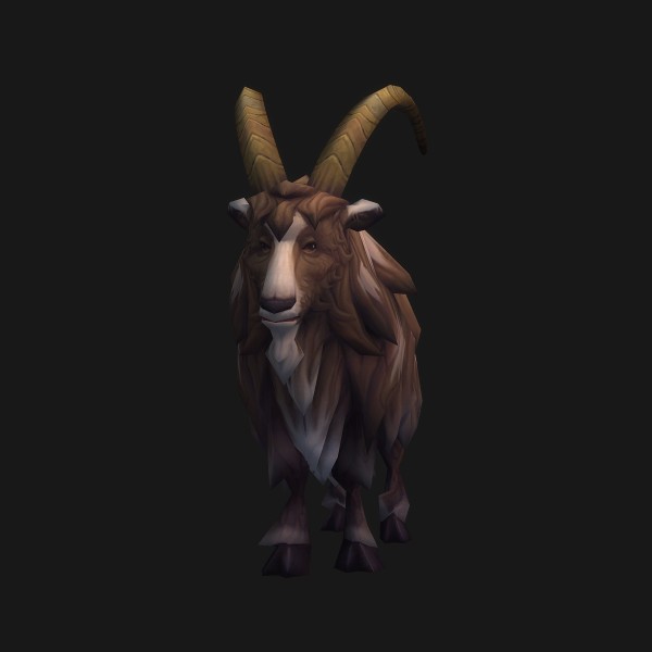 Hillcrest Goat
