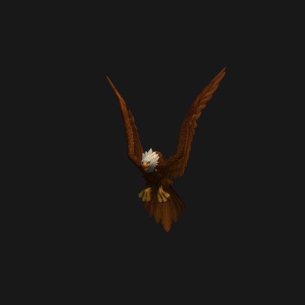 Imperial Eagle Chick