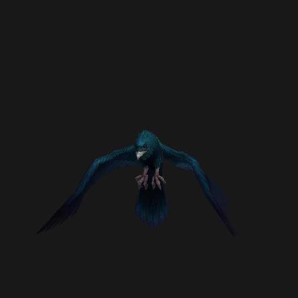 Greater Raven