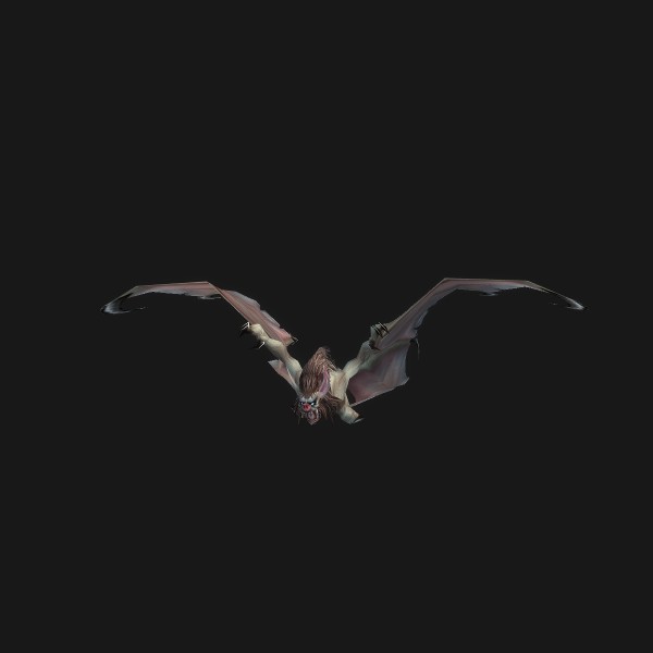 Giant Cave Bat