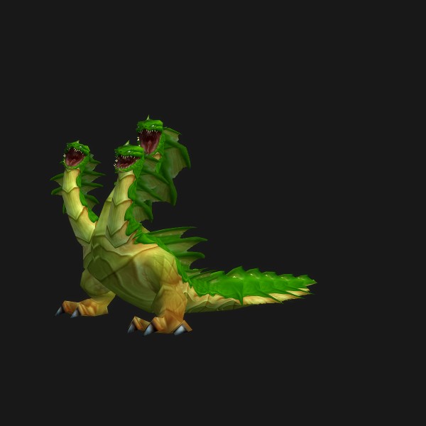 Hetaera