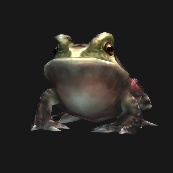 Gorgrond Frog