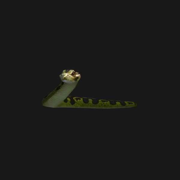 Imperial Python