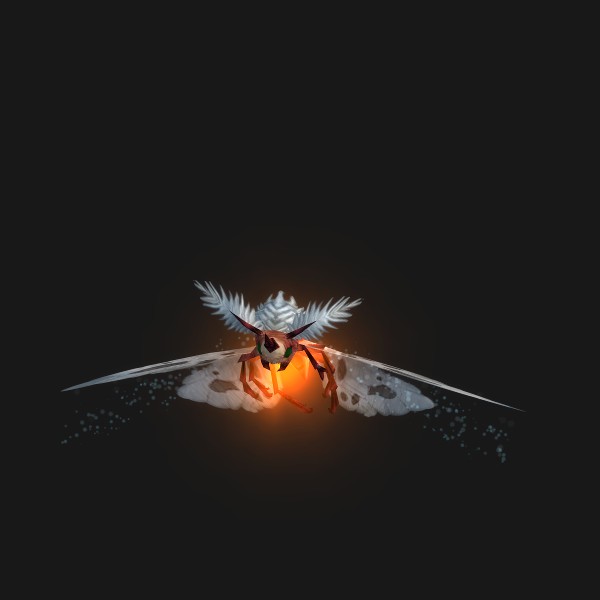 Flamering Moth