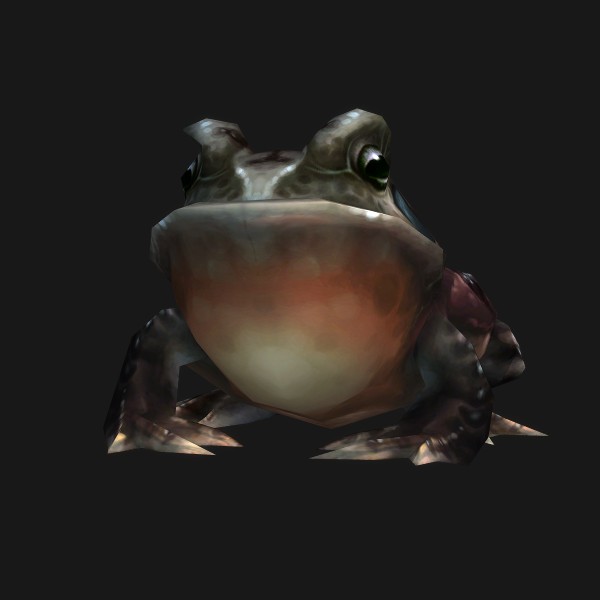 Grotto Toad