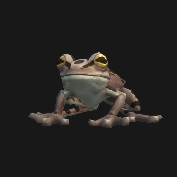 Garden Frog