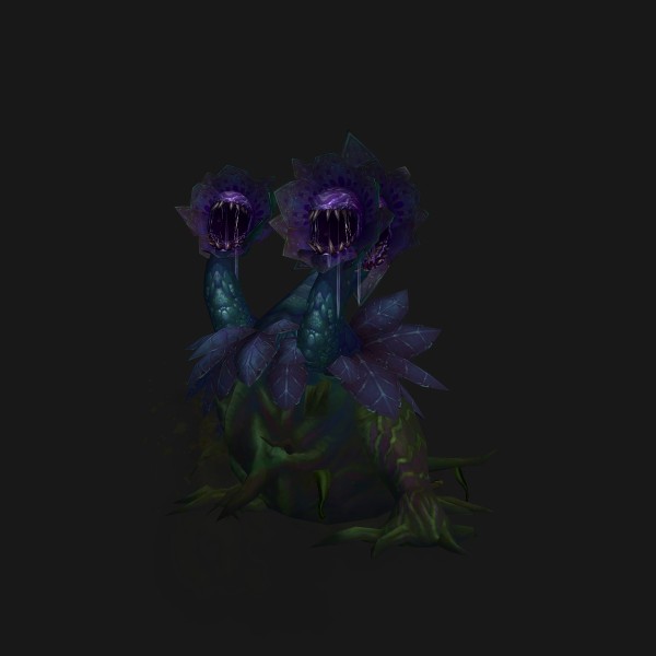 Flourishing Hydra