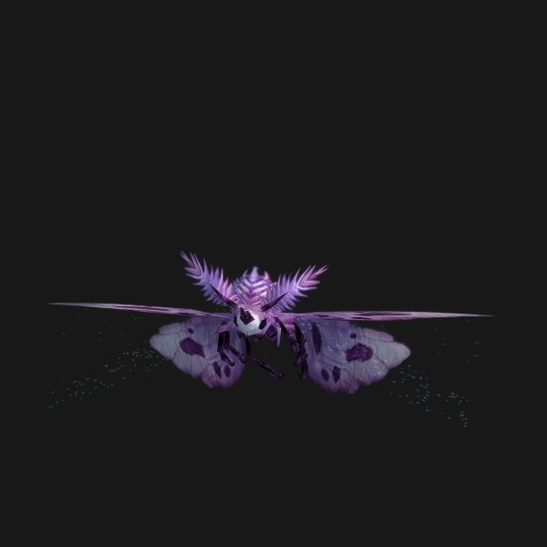 Dusky Teromoth