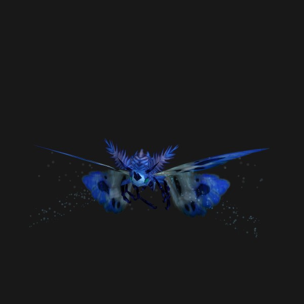 Duskwing Flutterer
