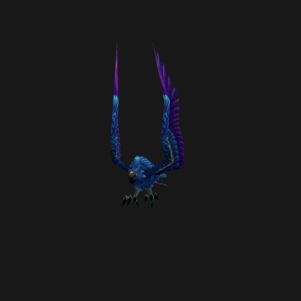 Hyacinth Macaw